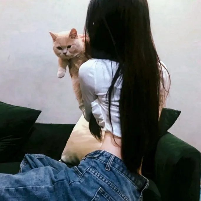 信长之枪